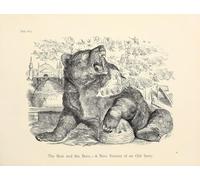 L'orso e le api. - Una nuova versione di una vecchia storia (1853) stampa poster di Sir John Tenniel (24 x 36)