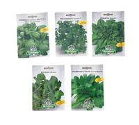 L'ORTOLANO-OFFERTA-5 BUSTE Di Semi Da Piantare-Basilico, Prezzemolo, Rucola, Spinacio, Valeriana. Sementi Selezionate e di Alta Qualità. Buste Termosaldate.