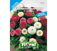 L'ORTOLANO Sementi Da Fiore Di Qualità In Bustina Per Uso Amatoriale (Margheritina Pomponette In Miscuglio)