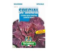 L'ORTOLANO Sementi di ortaggi ibride e selezioni speciali ad uso amatoriale in buste termosaldate (80 varietà) (CICORIA ROSSA DI VERONA SEL. GORIZIANA)