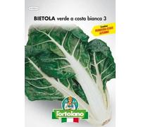 L'ORTOLANO Sementi Orticole Di Qualità In Busta Termosaldata (160 Varietà) (Bietola Da Coste Verde A Costa Bianca 3)