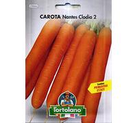 L'ORTOLANO Sementi Orticole Di Qualità In Busta Termosaldata (160 Varietà) (Carota Nantes Clodia 2)