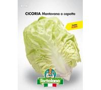 L'ORTOLANO Sementi Orticole Di Qualità In Busta Termosaldata (160 Varietà) (Cicoria Mantovana O Capotta)