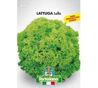 L'ORTOLANO Sementi Orticole Di Qualità In Busta Termosaldata (160 Varietà) (Lattuga Lollo)
