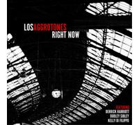 Los Aggrotones Right Now (Vinyl LP) 12" Album