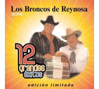 Los Broncos De Reynosa - Vol. 1-12 Grandes Exitos