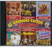 Los Grandes Exitos Del Milenio