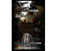 Los Misterios Del Adolescente: Explorando Identidad, Valores y Propósito