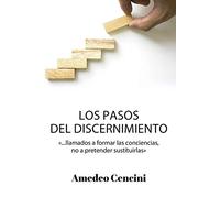 Los pasos del discernimiento: '... llamados a formar las conciencias, no a pretender sustituirlas': 167