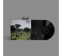 los perros no entienden internet