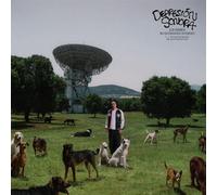 los perros no entienden internet