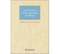 Los procesos civiles especiales de familia