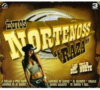 Los Trejo Del Norte - Exitos Nortenoss Raza (2 CD)