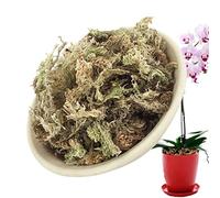 LOSOO Muschio di sfagno per Piante | Muschio di sfagno di Orchidea essiccato,Muschio di Piante Carnivore essiccato per la propagazione delle Piante da Giardinaggio di Orchidee Sarracenia Ottimo Mix