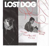 lost dog