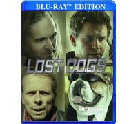 Lost Dogs