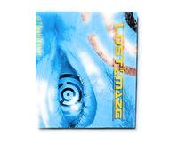 Lost In A Maze - 7 Bowls Of Anger