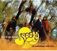 Lost In My Dream (2 Cd) - Spooky Tooth (Audio Cd)