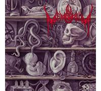 In Memorium - Lost To Antiquity