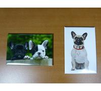 lot 2 Magnets aimant 7,8 cm X 5,3 cm CHIENS CHIOTS : BOULEDOGUE FRANCAIS 1/2