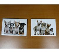 lot 2 Magnets / aimants 7,8 cm X 5,3 cm CHIENS CHIOTS : CHIHUAHUA 6/7