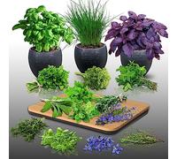 Lot de 2570 graines à semer - Le Grenier d'Abondance - Mélange Aromatique - 15 sachets individui