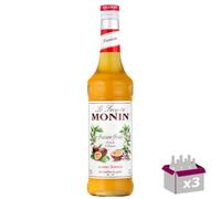 Lot de 3 Sirop - Fruit de la passion - 70cL