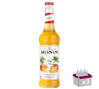 Lot de 3 Sirop - Mangue - 70cL