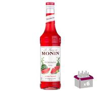 Lot de 6 Sirop - Pastèque - 70cL