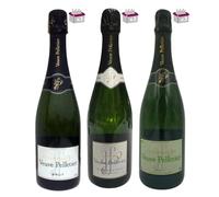 Lot Découverte Champagnes Veuve Pelletier : 3 Brut, 3 BIO, 3 Blanc de Blancs - 9x75cL
