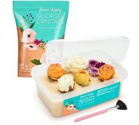 LotFancy Gel di Silice per l'Essiccazione dei Fiori, 2,5 LBS (1.13kg) Cristalli di Silice che Indicano il Colore per la Conservazione del Bouquet da Sposa