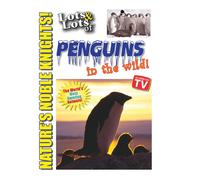 Lots & Lots of Penguin in the Wild - Nature's Noble Knights (DVD)