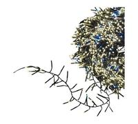 Lotti Filo Verde 2000 luci - MINILED Bianco caldo e Bianco freddo (30 + 4 mt) 1