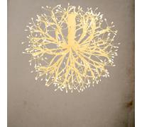 Lotti Ramo Natale Sfera Ricco RICH Bianco ø30cm 384 MicroLED 5m+ø30cm