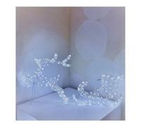 Lotti Renna (H65 cm) luce fissa (1pz) 220 luci - LED Bianco freddo IP44 73753