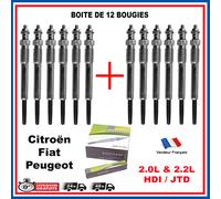 Lotto 12 Candele Di Candeletta per Motore Peugeot Citroen 2.0 2.2 HDI JTD