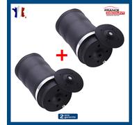 Lotto 2 Ammortizzatore Posteriore per Classe R W251 Sospensione, A2513200425