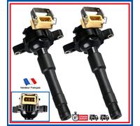 Lotto 2 Bobina Accensione per E36 E46 E39 E38 E31 E53 12137599219 0221504029