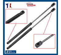 Lotto 2 Cavalletti Cofano Portellone Posteriore per Renault Mégane I Break (