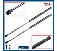 Lotto Di 2 Cavalletti Cofano Pinze per Peugeot 207 (2006-2014) 1615076680 8731L7