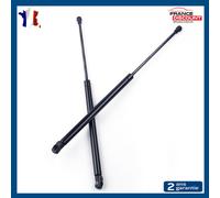 Lotto Di 2 Cavalletti Cofano Posteriore per VW Golf 4 Bora Passat B5 Break