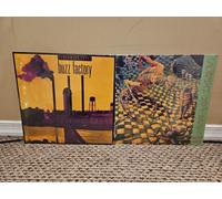 Lotto di 2 dischi di ristampa Screaming Trees: Buzz Factory, Invisible Lantern