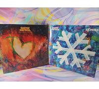 Lotto di 2 dischi Snow Patrol: rielaborati (2xLP), The Forest Is the Path (2xLP)