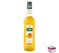 Lotto di 3 - Teisseire - Scirompe mango - 70cl