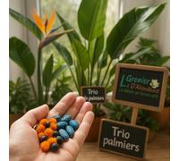 Lotto di 30 Grines à semer - Le Grenier d'Abondance - STRELITZIA & Co - 3 bustine individuels