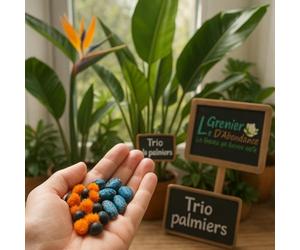 Lotto di 30 Grines à semer - Le Grenier d'Abondance - STRELITZIA & Co - 3 bustine individuels