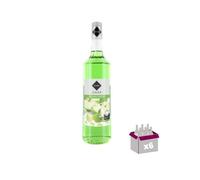 Lotto di 6 sciroppi Rioba - Green Mela - 6x1L
