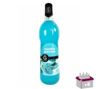 Lotto di 6 sciroppi Rioba - Icy Mint - 6x1l