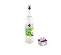 Lotto di 6 sciroppi Rioba - Sugar di canna - 6x1l