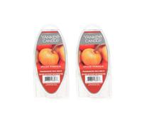 Lotto di candele yankee di 2 cera fragrante di zucca speziata si scioglie